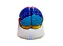 Medical brain model for university